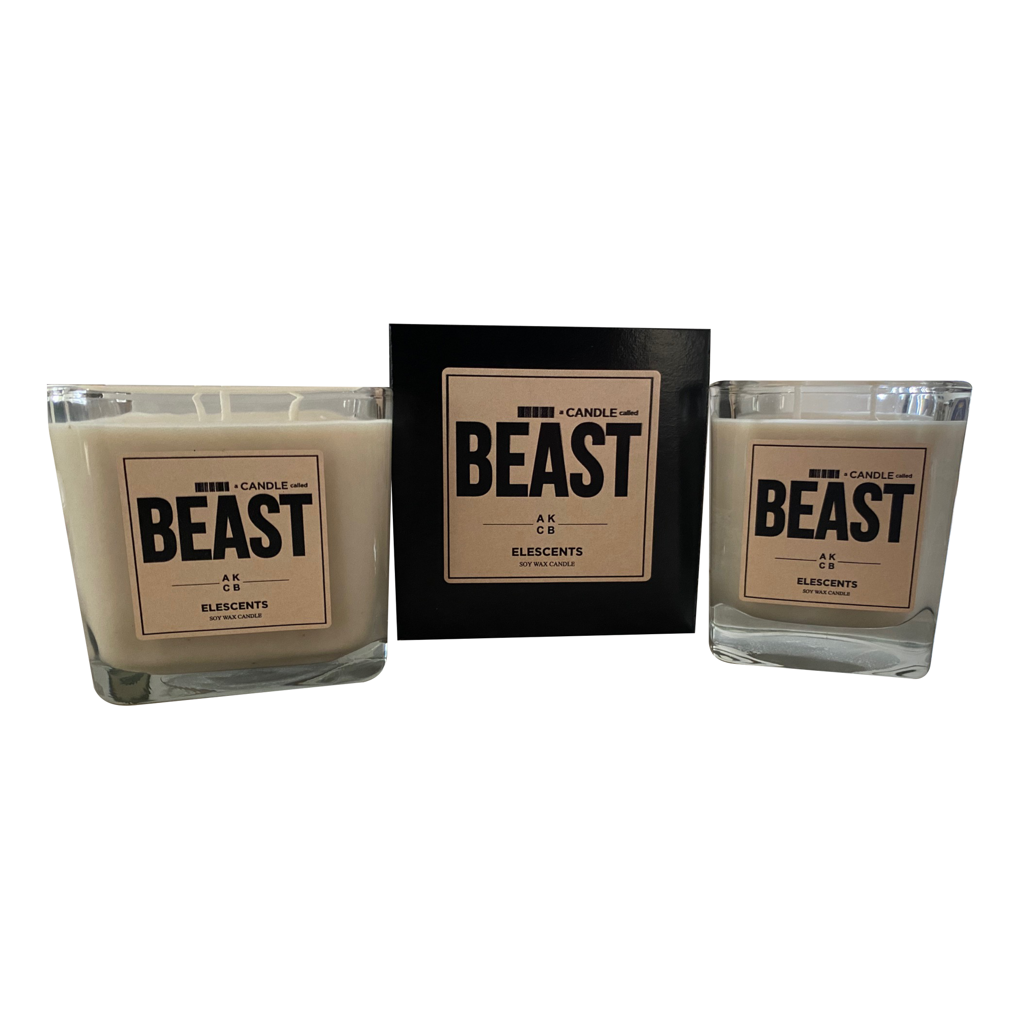 A Candle Called Beast